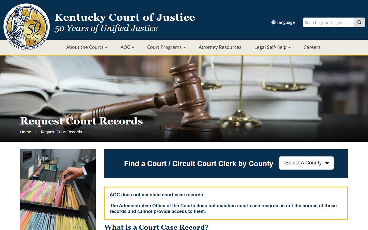 Lee County court records request guidance